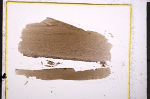 Plane Polarized, E24227