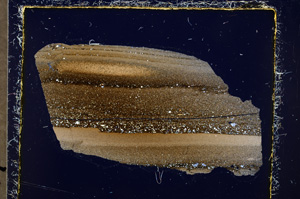 Cross Polarized, E24228