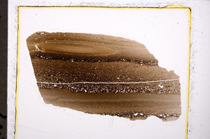 Plane Polarized, E24228