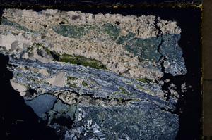 Cross Polarized, E24235