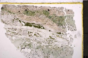 Plane Polarized, E24235
