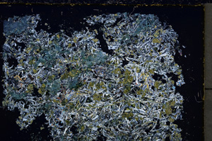 Cross Polarized, E24236