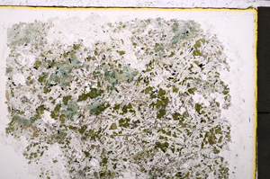 Plane Polarized, E24236