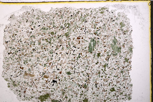 Plane Polarized, E24237