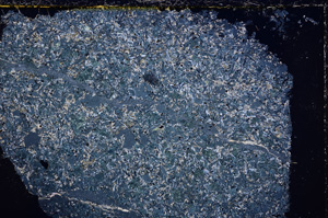 Cross Polarized, E24238