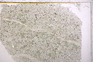 Plane Polarized, E24238