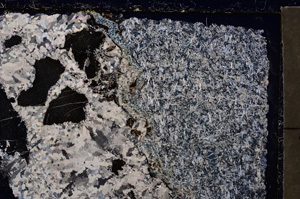 Cross Polarized, E24243
