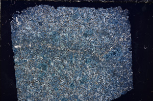 Cross Polarized, E24244