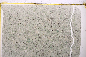 Plane Polarized, E24246