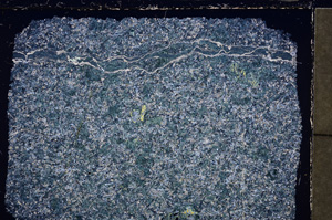 Cross Polarized, E24248