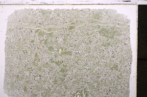 Plane Polarized, E24248