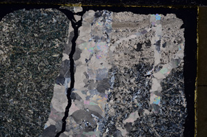 Cross Polarized, E24249