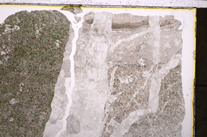 Plane Polarized, E24249