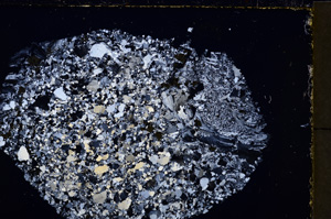 Cross Polarized, E24250