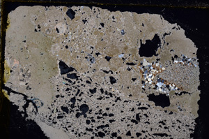 Cross Polarized, E24313