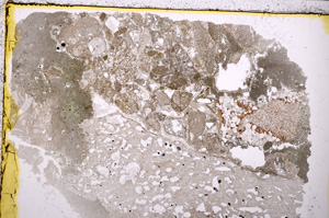 Plane Polarized, E24313