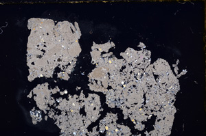 Cross Polarized, E24314