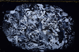 Cross Polarized, E24315