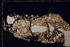 Cross Polarized, E24318