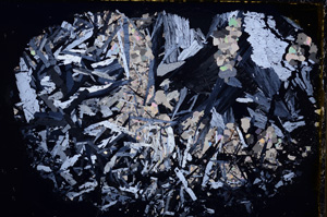 Cross Polarized, E24319