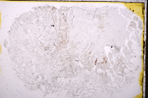 Plane Polarized, E24319