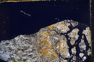 Cross Polarized, E24321