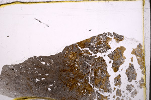 Plane Polarized, E24321