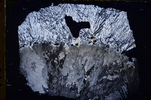 Cross Polarized, E24322