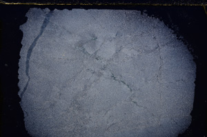 Cross Polarized, E24324