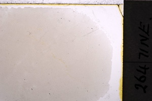 Plane Polarized, E24324