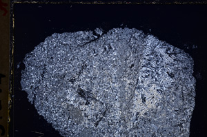 Cross Polarized, E24326