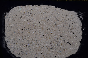 Cross Polarized, E24328