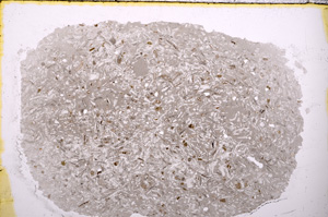 Plane Polarized, E24328