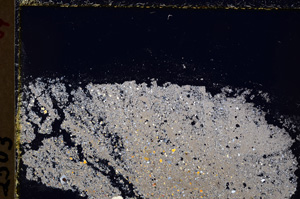 Cross Polarized, E24333