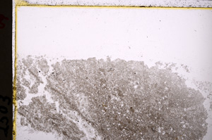 Plane Polarized, E24333