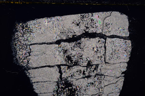 Cross Polarized, E24343