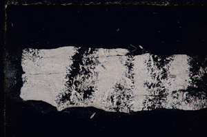 Cross Polarized, E24344