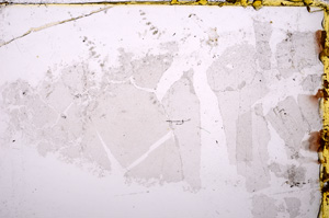 Plane Polarized, E24349