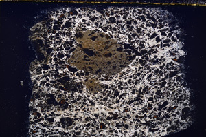 Cross Polarized, E24362