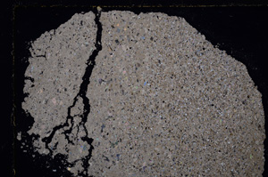 Cross Polarized, E24426