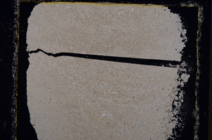 Cross Polarized, E24434