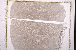 Plane Polarized, E24434