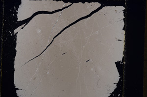 Cross Polarized, E24436