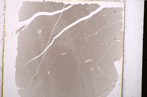 Plane Polarized, E24436