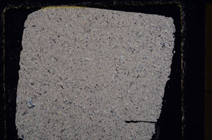 Cross Polarized, E24437