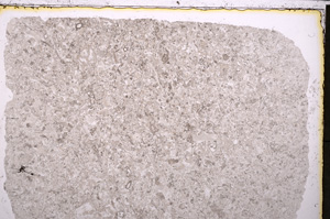 Plane Polarized, E24472