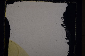 Cross Polarized, E24473