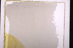 Plane Polarized, E24473