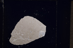 Cross Polarized, E24505