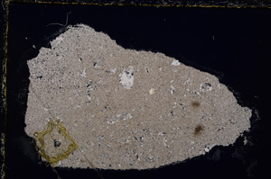 Cross Polarized, E24522